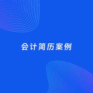 AI生成简历案例：会计岗位简历模板