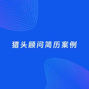 AI生成简历案例：猎头顾问岗位简历模板