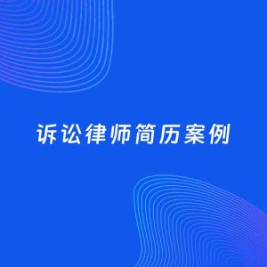 AI生成简历案例：诉讼律师岗位简历模板