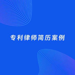 AI生成简历案例：专利律师岗位简历模板