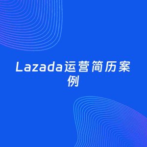 AI生成简历案例：Lazada运营岗位简历模板