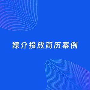 AI生成简历案例：媒介投放岗位简历模板