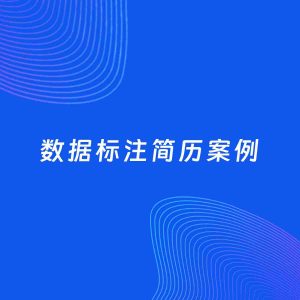AI生成简历案例：数据标注岗位简历模板