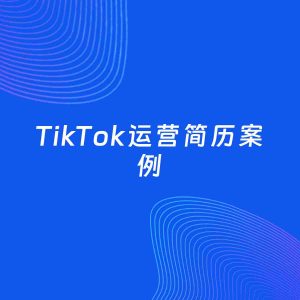 AI生成简历案例：TikTok运营岗位简历模板