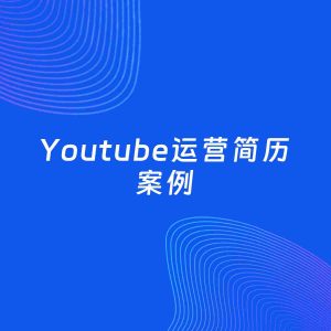 AI生成简历案例：Youtube运营岗位简历模板