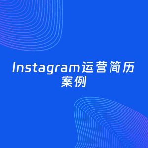 AI生成简历案例：Instagram运营岗位简历模板