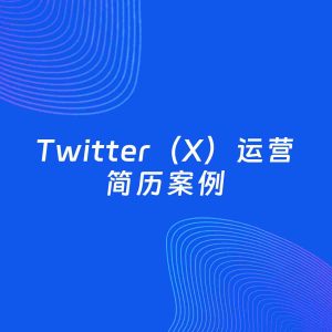 AI生成简历案例：Twitter（X）运营岗位简历模板
