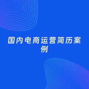 AI生成简历案例：国内电商运营岗位简历模板