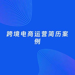 AI生成简历案例：跨境电商运营岗位简历模板