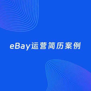 AI生成简历案例：eBay运营岗位简历模板