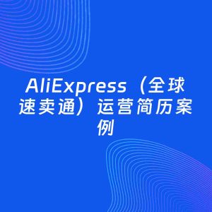 AI生成简历案例：AliExpress（全球速卖通）运营岗位简历模板