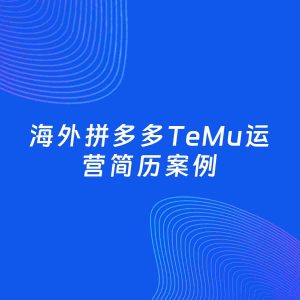 AI生成简历案例：海外拼多多TeMu运营岗位简历模板