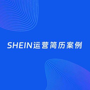 AI生成简历案例：SHEIN运营岗位简历模板