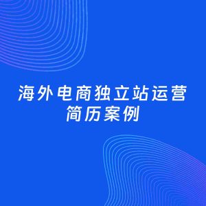 AI生成简历案例：海外电商独立站运营岗位简历模板