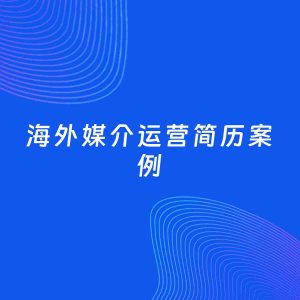 AI生成简历案例：海外媒介运营岗位简历模板