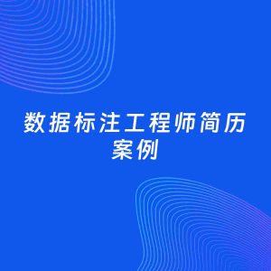 AI生成简历案例：数据标注工程师岗位简历模板