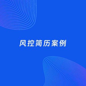 AI生成简历案例：风控岗位简历模板