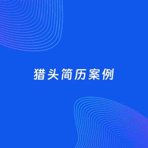 AI生成简历案例：猎头岗位简历模板